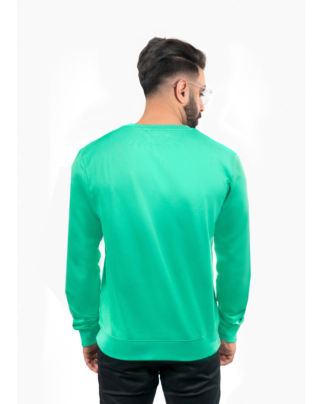 D3ZIGNER Men's Supima Cotton Sweatshirt back view