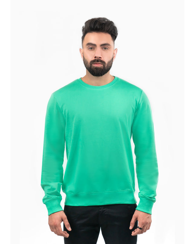 Model wearing D3ZIGNER Men's Supima Cotton Sweatshirt in Mint Green