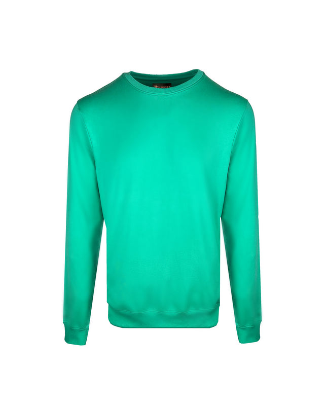 D3ZIGNER Men's Supima Cotton Sweatshirt front view in Mint Green